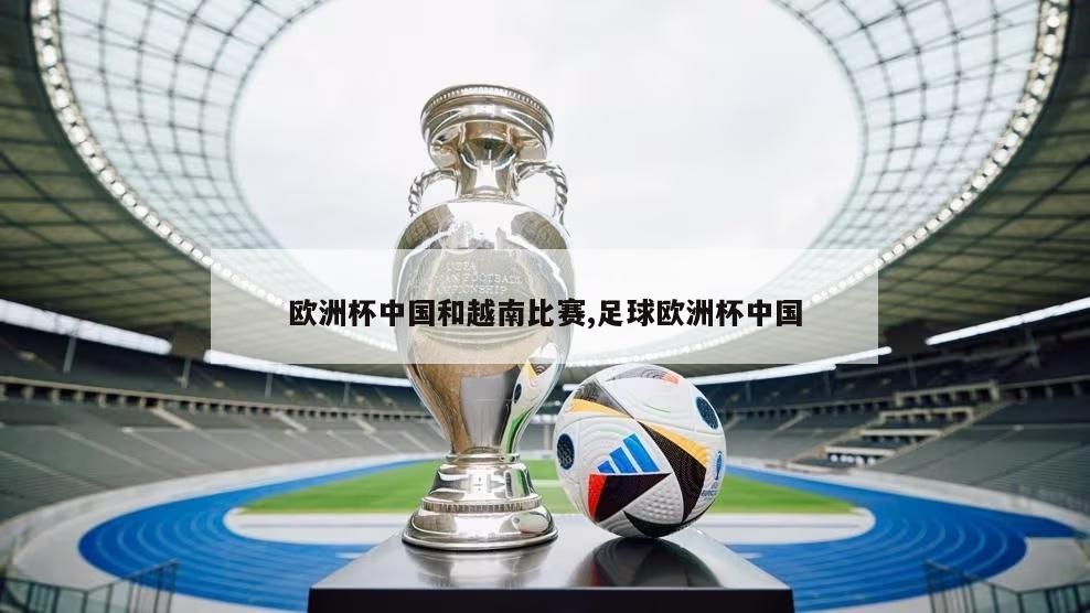欧洲杯中国和越南比赛,足球欧洲杯中国